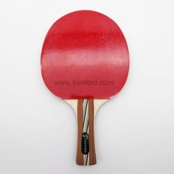 4 Star Table Tennis Racket